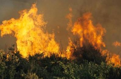Protezione civile: al via la campagna estiva antincendio boschivo