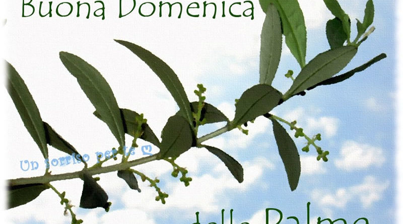 VANGELO La passione del Signore. (Domenica delle Palme)