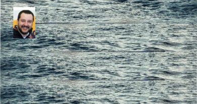 Ong altra sfida a Salvini  la Alan Kurdi, â€œÃ¨ tedesca, se ne puÃ² andare in Germaniaâ€