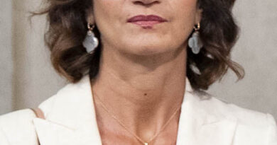 Gelmini il  Centrodestra non va annacquato in una federazione