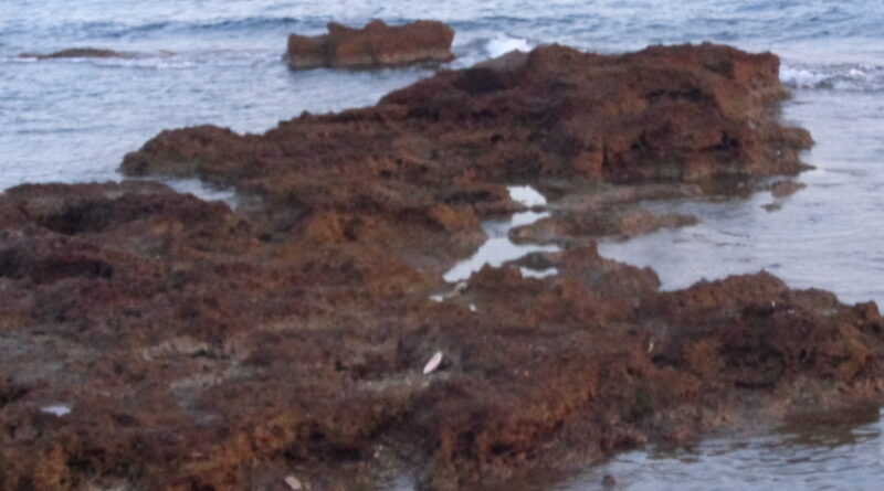 giovane pisano 25enne spinto dalle onde è finito contro gli scogli