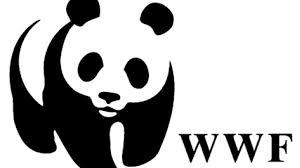 PREOCCUPAZIONE DEL WWF PER IL FUTURO DELL’AREA DELL’EX DISCARICA DI RIMATERIA
