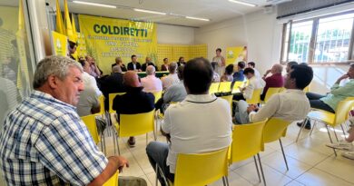 “Agricoltura, Fabrizio Rossi (FDI): “Punto centrale del nostro programma politico”