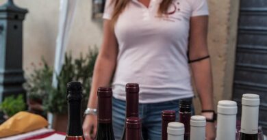 FESTA DEL VINO MONTESCUDAIO DOC LA 54° EDIZIONE VA IN SCENA