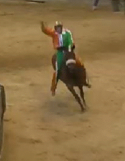 La Selva ha vinto il Palio di Siena