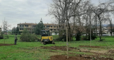 Pistoia In arrivo cento nuovi alberi nel parco Bosco in Città