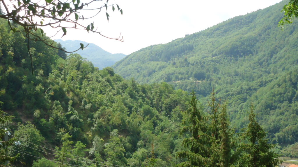 Toscana, Anas: domani riapre la SS12 dell'Abetone e del Brennero