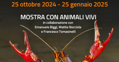 Al Museo di Calci si inaugura “Inconsapevoli Invasori”, la mostra dedicata alle specie aliene nelle acque interne