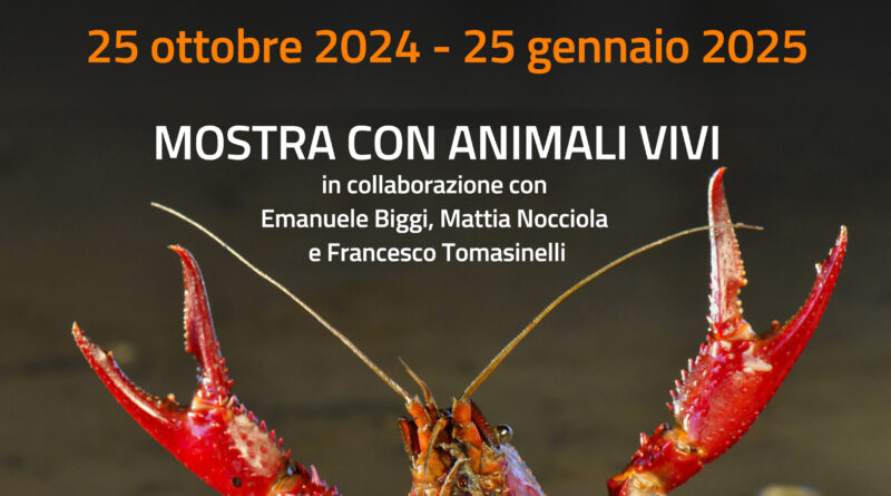 Al Museo di Calci si inaugura “Inconsapevoli Invasori”, la mostra dedicata alle specie aliene nelle acque interne